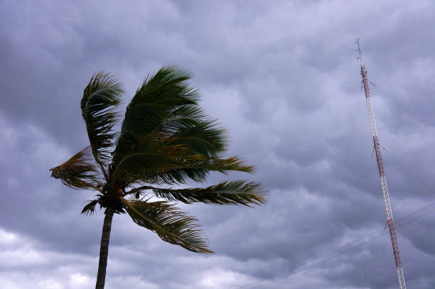 istock Tropical storm over Cuba 871275078