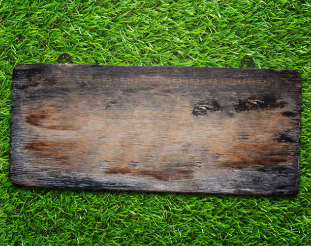 istock Wood Sign on Grass Background 871275508