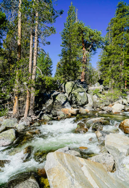 istock Yosemite National Park Landscape, California 871275888