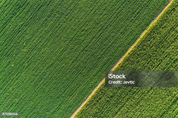 Agricultural Fields From Drone Stock Photo - Download Image Now - Agricultural Field, Aerial View, Soybean