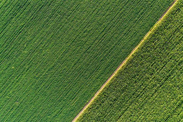 pola rolne z drona - aerial view mid air farm field zdjęcia i obrazy z banku zdjęć