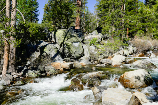 istock Yosemite National Park Landscape, California 871280956