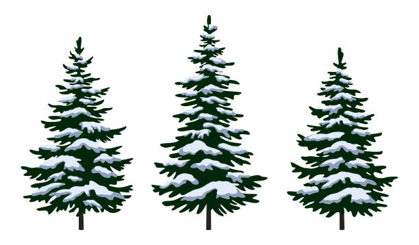 illustrations, cliparts, dessins animés et icônes de sapin de noël avec des arbres - pinède