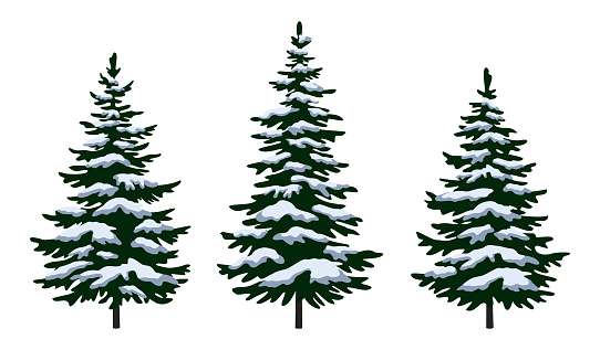 Set Green Fir Trees with White and Blue Snow, Winter Holiday Christmas Decoration Isolated on White Background. Vector