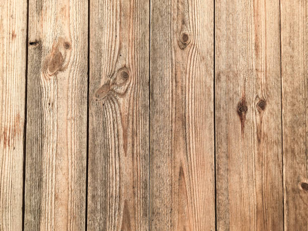 istock Wood texture, Wood background 871284306