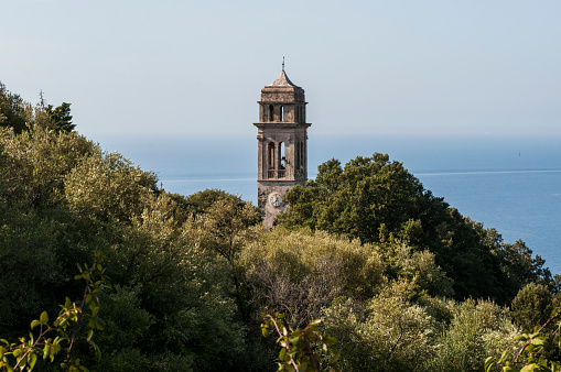 Corsica, France, Europe - August 29, 2017: the Mediterranean maquis with view of the bell tower of the church in Pino, village of the Haute-Corse on the western side of Cap Corse, northern peninsula famous for wild landscapes