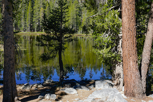 Yosemite National Park Landscape, California