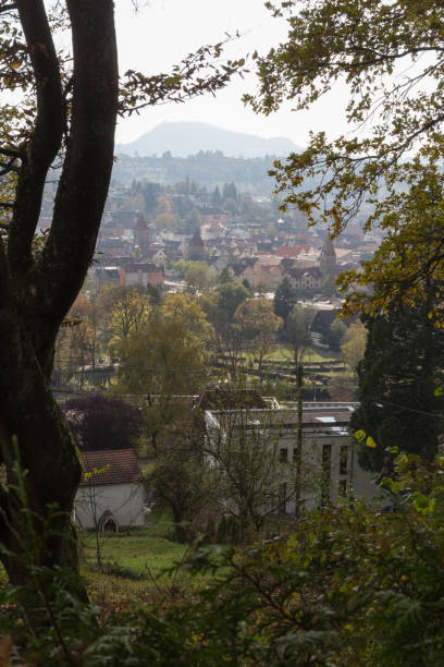 istock landscape and trees with berries and leaves in autumn 871289442