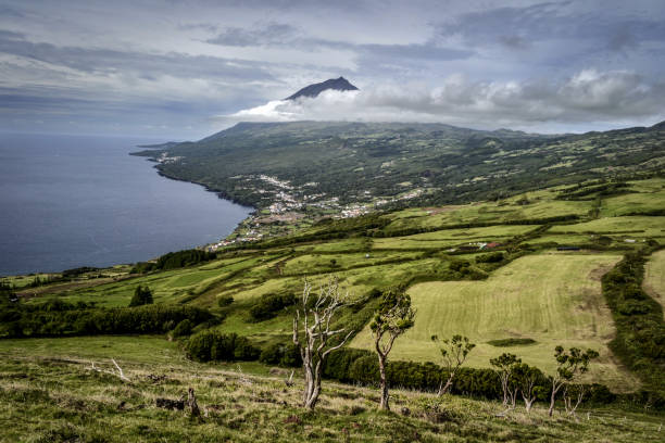 istock pastures and green fields on the coast in the background Volcano Pico 871300116