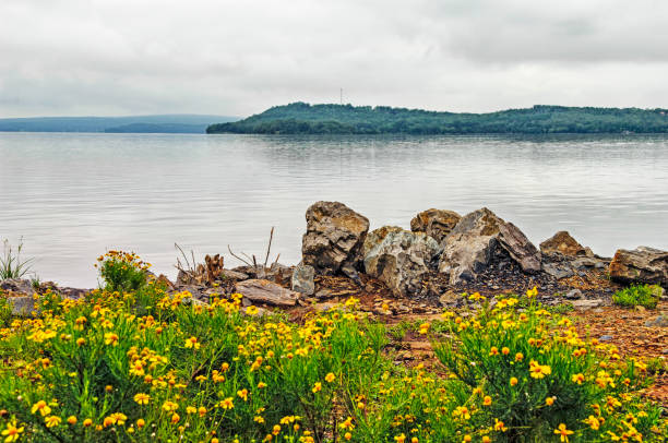 Lake Dardanaelle Flowers at shoreline Rocks and Views stock photo