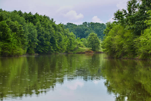istock Landscape of a lake with forest 871315192