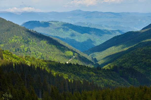 istock Mountains covered in lush forests 871315556