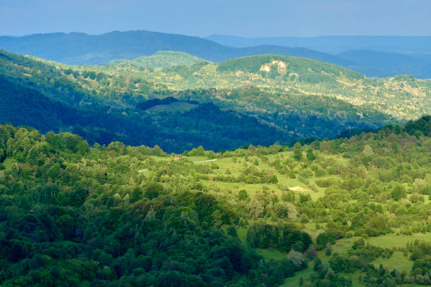 istock Mountains covered in forests 871316610