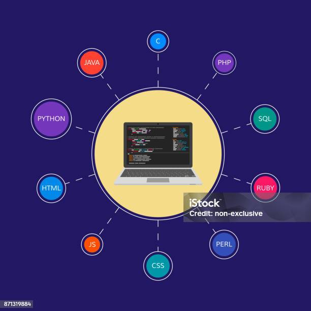 Web Development Infographic Programming Languages Stock Illustration ...
