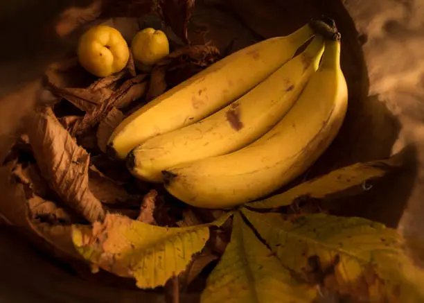 Banana,Food,Fruit,Autumn