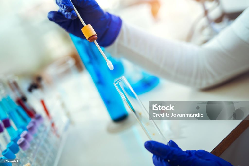 Female forensic technician collecting biological specimen in DNA Woman collects forensic DNA sample stick in laboratory Collection Stock Photo