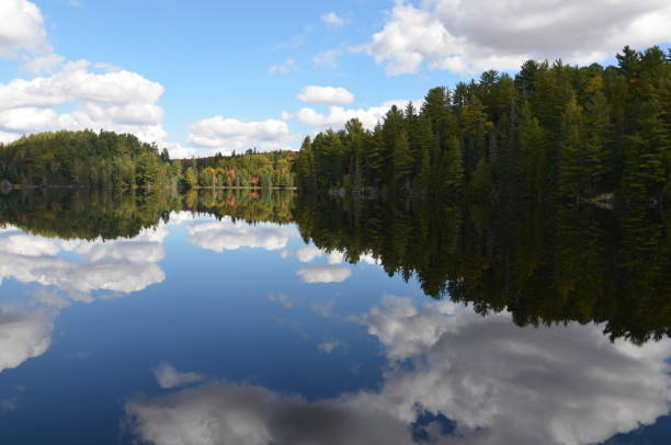 istock Calm lake with reflection of clouds in fall with forest in background 871327228
