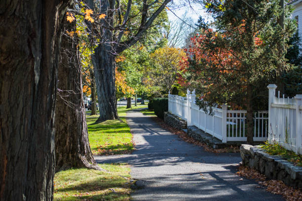 istock Beautiful Walkway with Trees and White Picket Fences 871331178