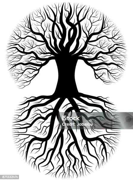 Tree Silhouette Stock Illustration - Download Image Now - Origins, Root, Tree