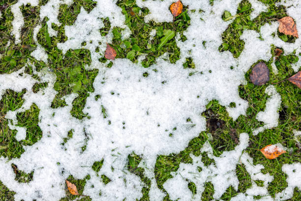 istock Abstract phot from the fallen first snow on the ground. 871339166