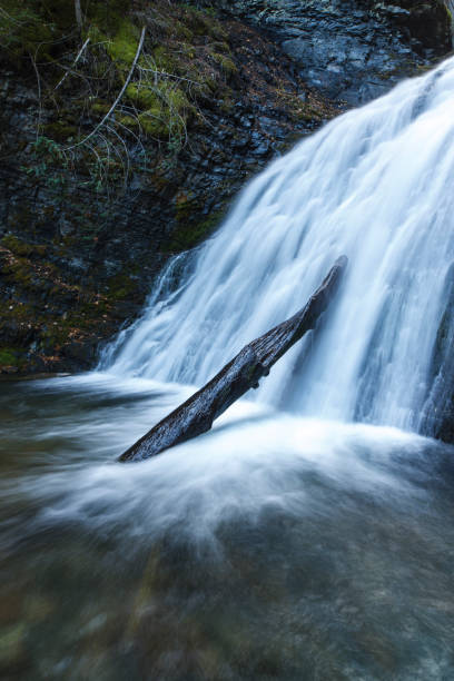 istock Log at the bottom of the falls. 871339414
