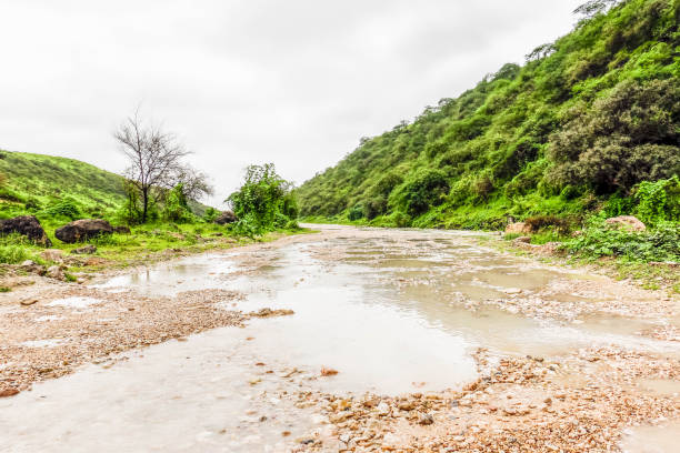 istock Water Stream at mountains in Salalah, Oman 871340326