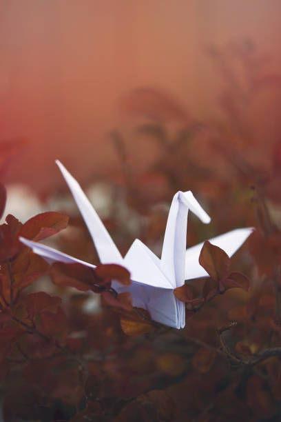 istock White origami paper crane bird in nature 871349848