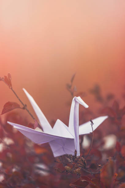 istock White origami paper crane bird in nature 871349940