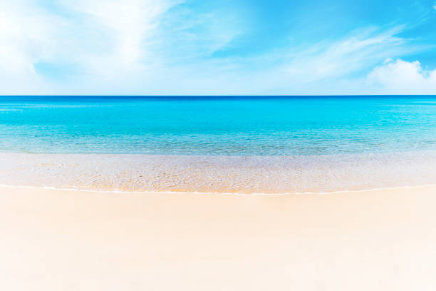 istock Tropical beach and the sea 871350036