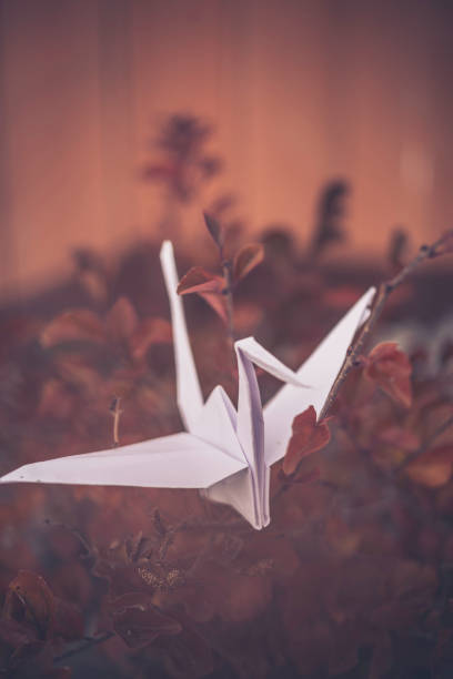 White origami paper crane bird in nature