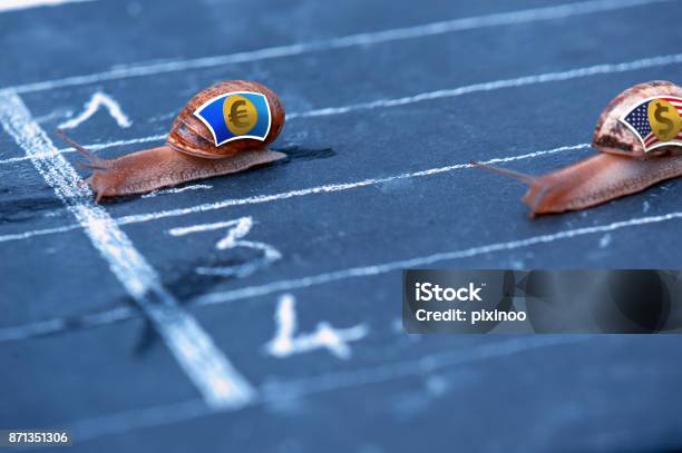 Snails Race Currency Metaphor About Euro Against Us Dollar Stock Photo - Download Image Now