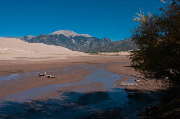 istock Great Sand Dunes National Park Stream 871359066