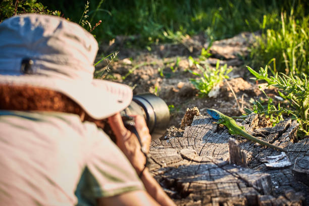 Professional wildlife photographer