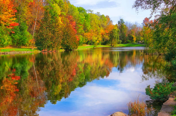 istock Autumn Landscape with Water Reflections 871366614