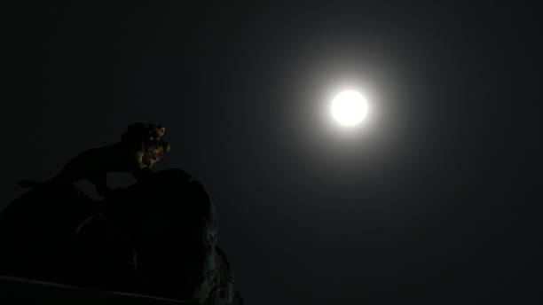 istock lion and bright moon in the night sky 871369488