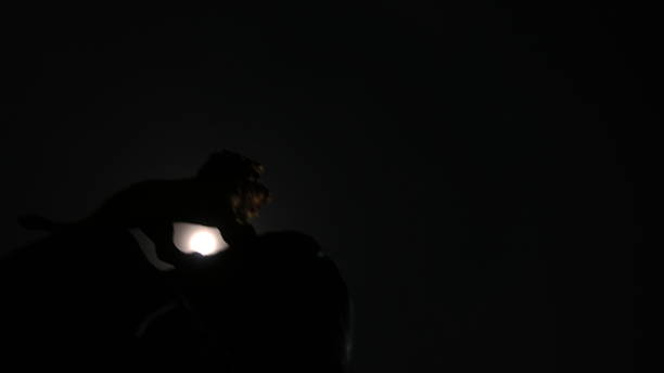 istock lion and bright moon in the night sky 871369996