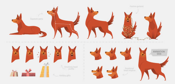 ilustrações de stock, clip art, desenhos animados e ícones de set for creating a dog animation of emotions. - standard poodle