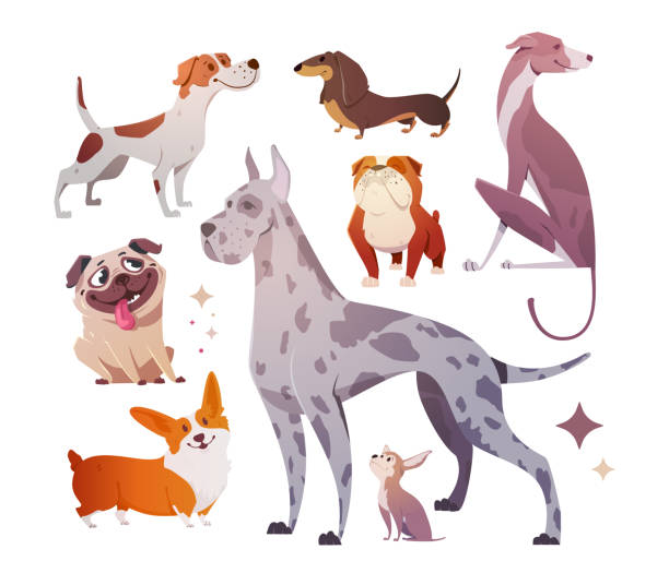 ilustrações de stock, clip art, desenhos animados e ícones de cartoon dogs of different breeds and sizes. - walking point of view