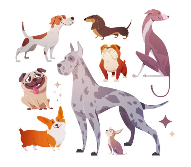Cartoon dogs of different breeds and sizes. vector art illustration
