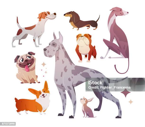 Cartoon Dogs Of Different Breeds And Sizes Stock Illustration - Download  Image Now - Dog, Greyhound, Cartoon - iStock