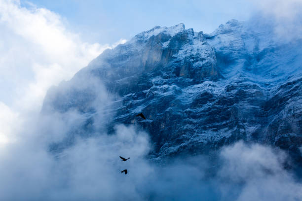 paysage d’hiver dans les montagnes de l’oiseau en vol est loin dans le ciel contre les sommets enneigés - horizon over water white green blue photos et images de collection