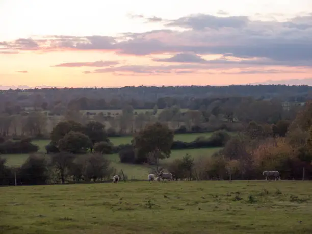 Photo of beautiful country scene fields trees horizon sky red autumn sun set Dedham Vale