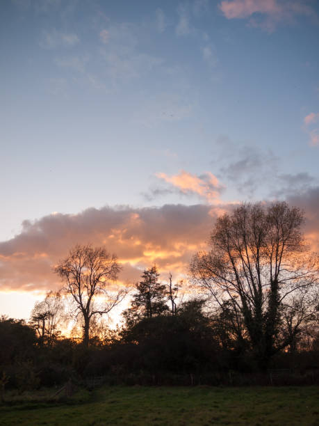 istock beautiful open autumn field Dedham sun set light tree branches sky 871375870