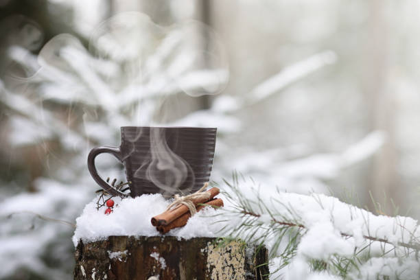 istock A cup with a hot drink in the winter forest. Hot cocoa with cinn 871380700