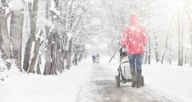 istock Snow-covered winter park and benches. Park and pier for feeding 871381220