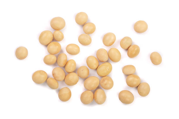 istock soybeans isolated on white background top view 871381344