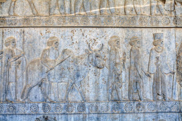 istock Relief depicting procession in Apadana from Darius Palace, Persepolis, Iran. 871381504