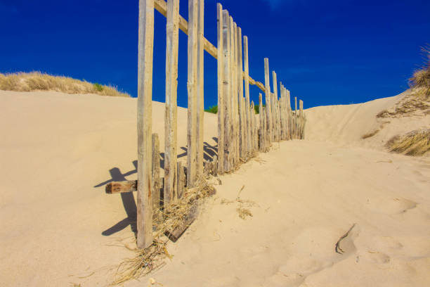 istock Old wooden fence. 871387558