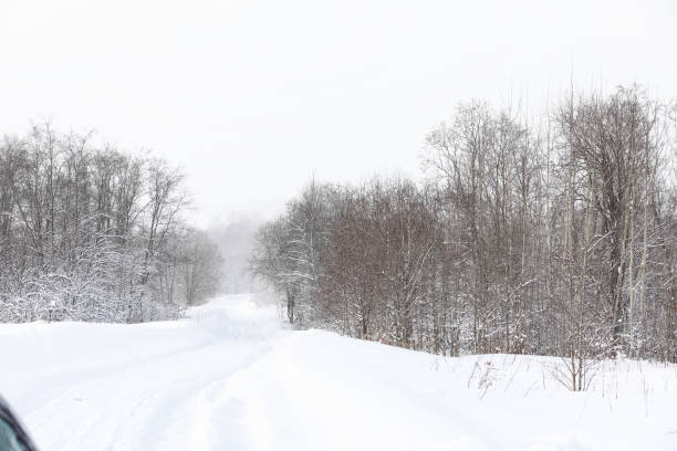 istock Landscape in the winter cloudy day 871387576