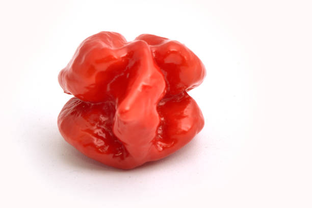 carolina reaper pepe più caldo del mondo - princess diet foto e immagini stock